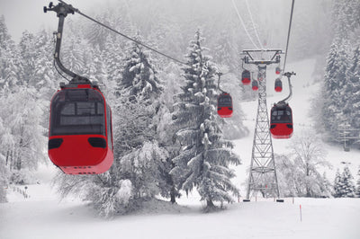 The Gondola Shop fleet